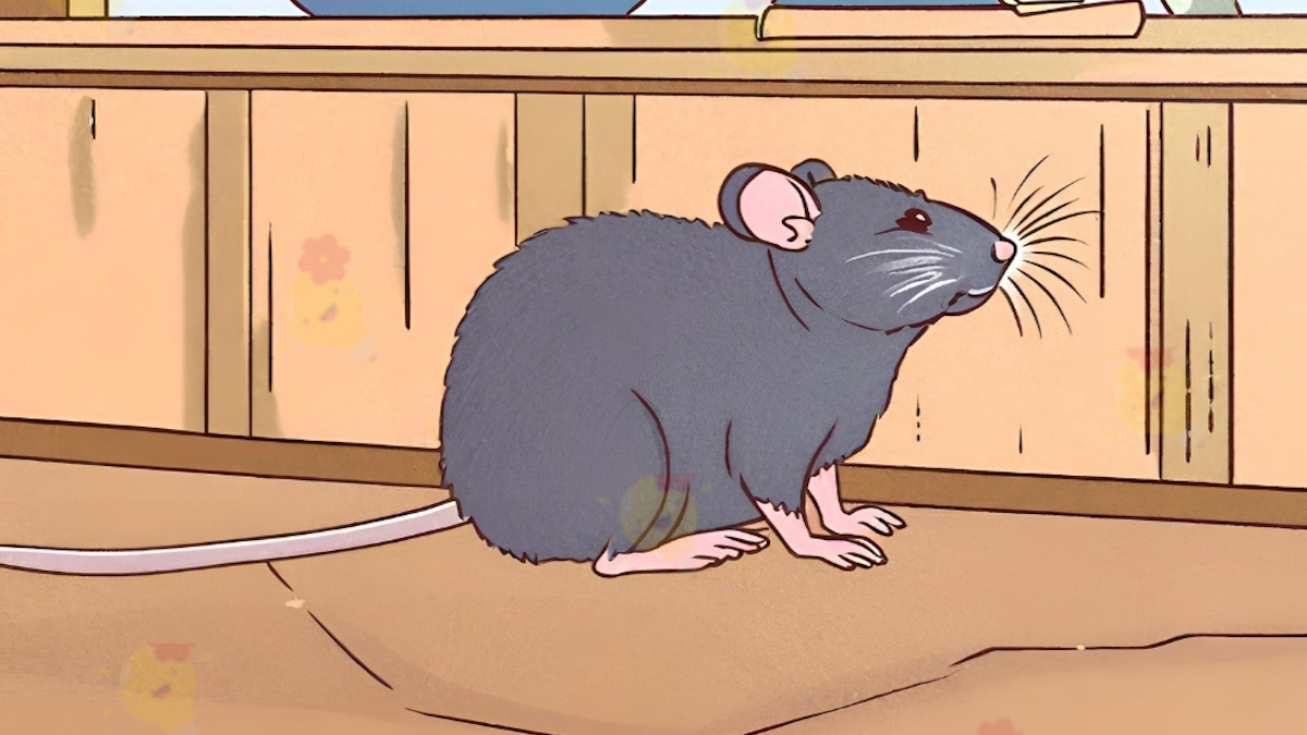 Comment Chasser Naturellement les Souris