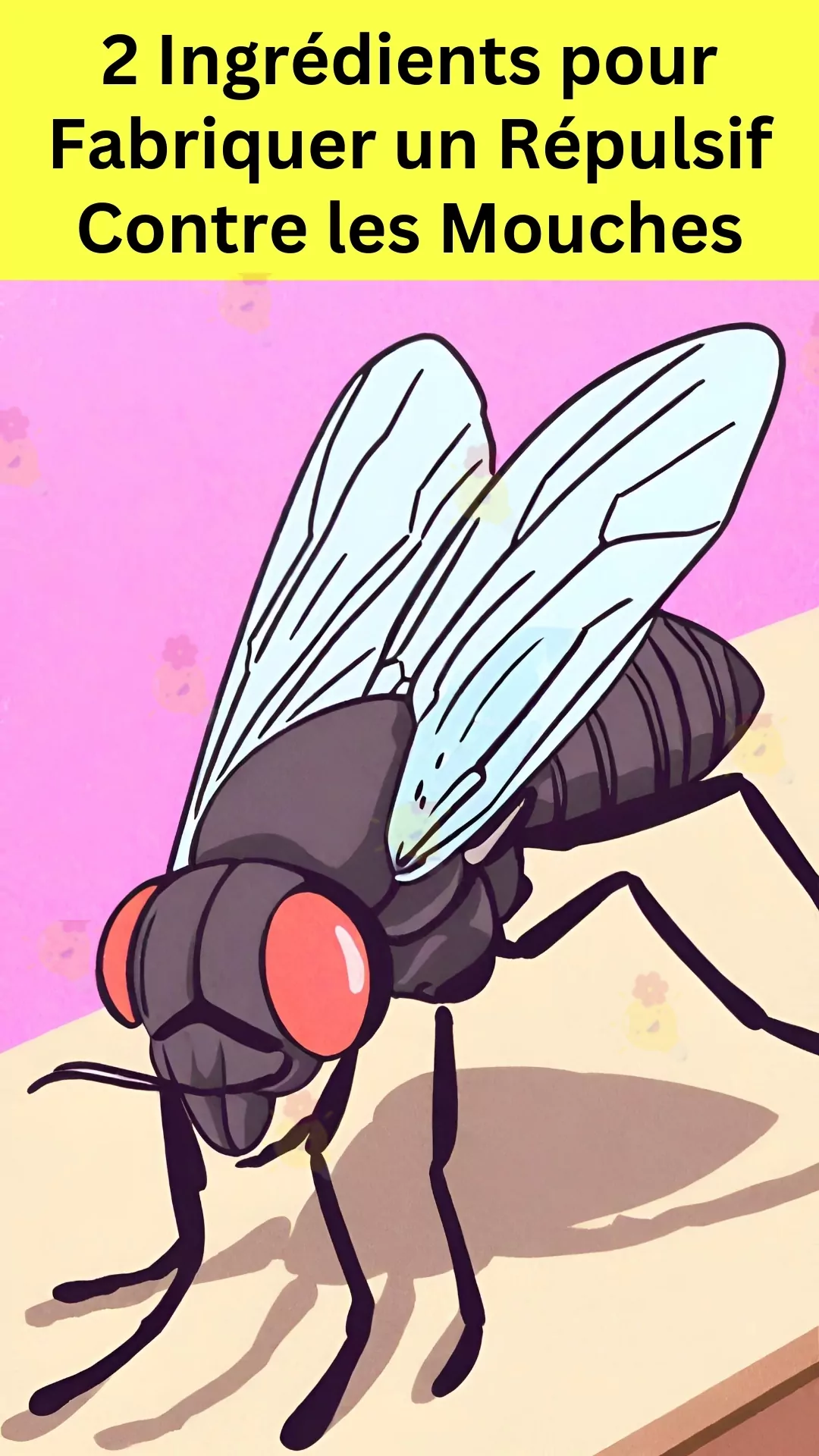 Chasser les insectes volants en recourant à une pomme 