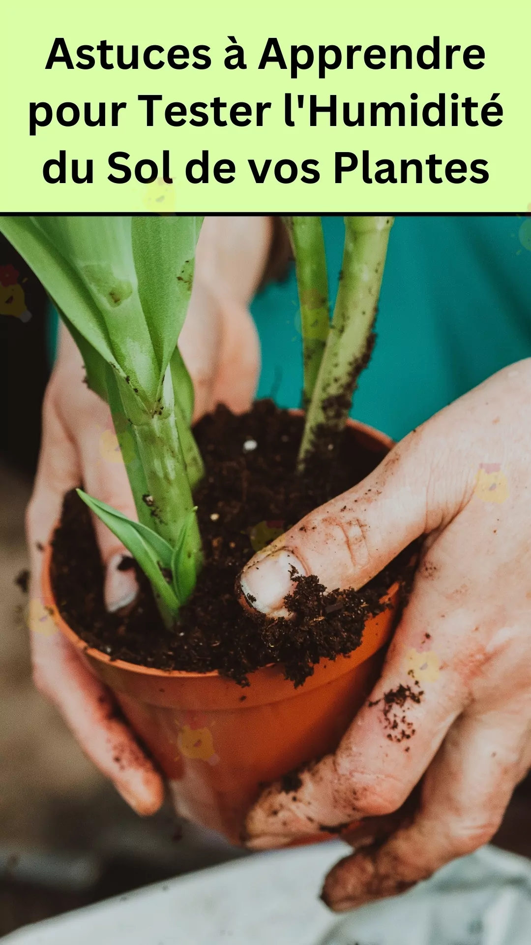 Passer par quelques étapes pour voir si votre plante est hydratée 