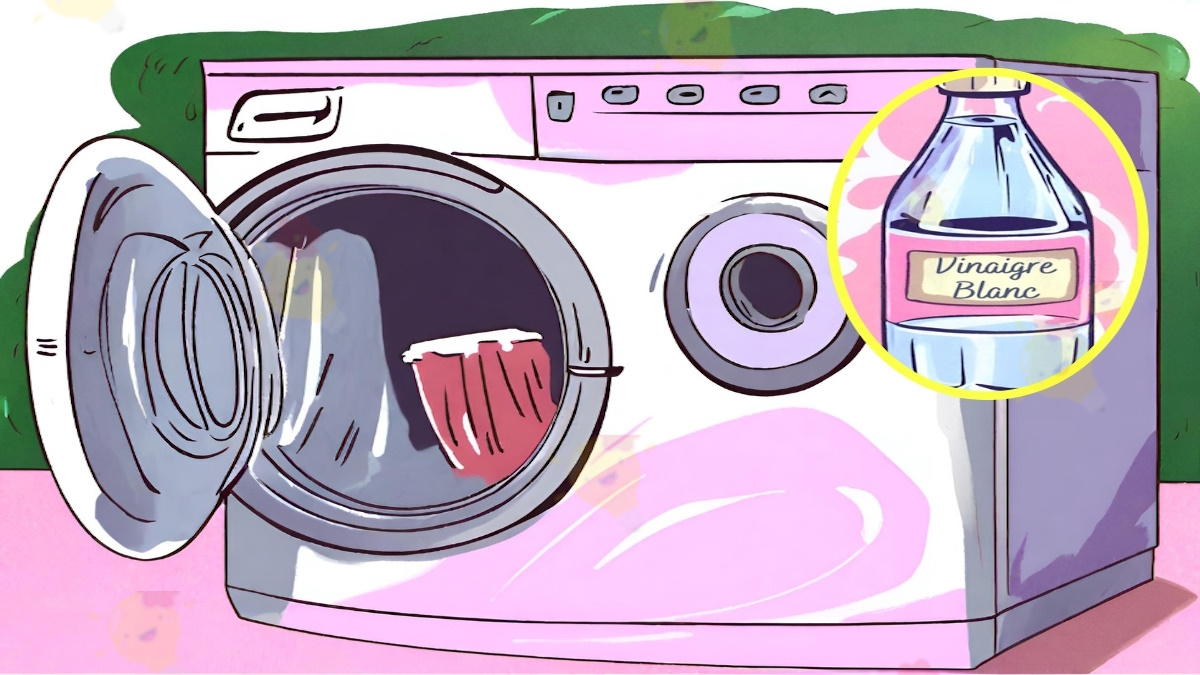 Pourquoi ma Voisine Met du Vinaigre dans sa Machine à Laver?
