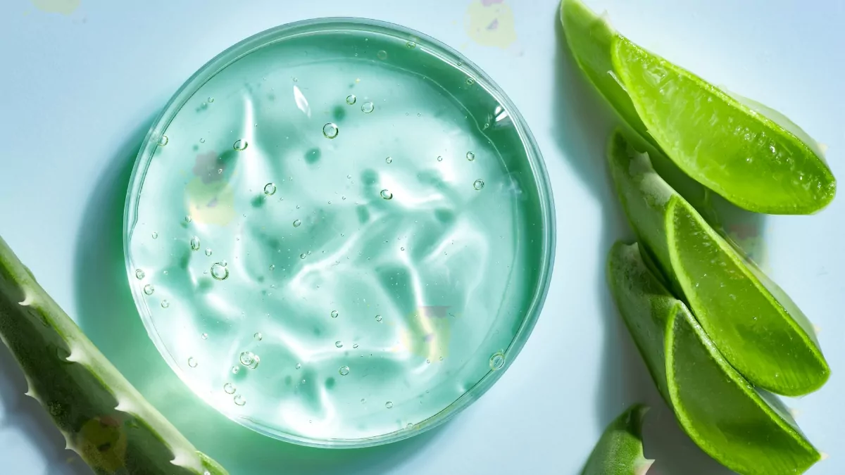 Comment Profiter du Gel d’Aloès Vera pour Résoudre plus de 20 Problèmes?